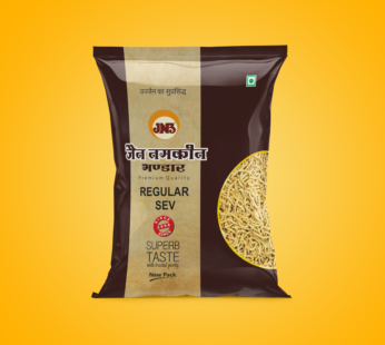 Regular Sev (Ujjaini Sev)